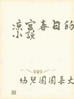 凉宫春日的忧郁小说