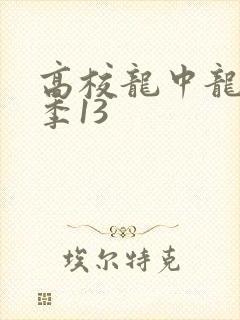 高校龙中龙第二季13
