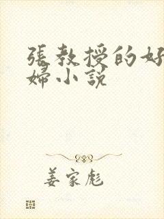 张教授的好儿媳妇小说