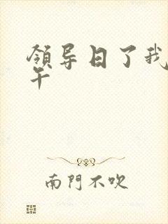 领导日了我一下午