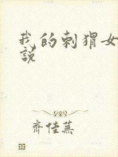 我的刺猬女孩小说