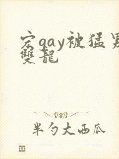 宏gay被猛男双龙