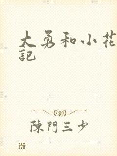 大勇和小花的日记