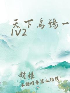 天下乌鸦一般黑1V2