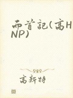面首记(高H NP)