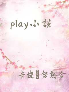 play小说