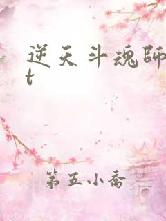 逆天斗魂师txt