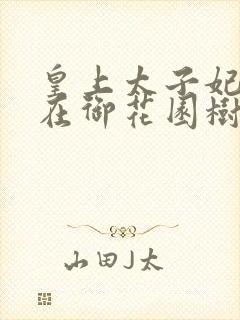 皇上太子妃沈音在御花园树上