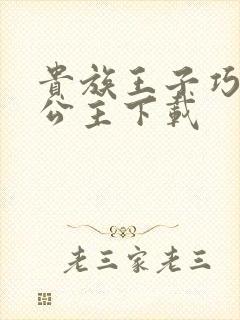 贵族王子巧遇穷公主下载