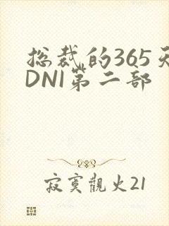 总裁的365天DNI第二部