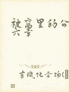 被窝里的公息十六章