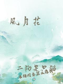 风月花
