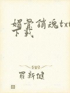 媚骨销魂txt下载