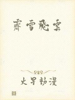 霁雪飞云