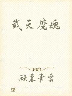 武天魔魂
