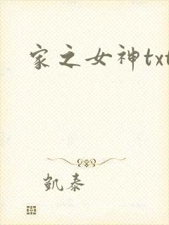 家之女神txt