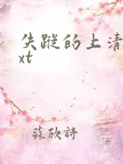 失踪的上清寺txt