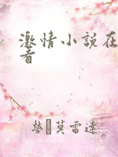 激情小说在线观看