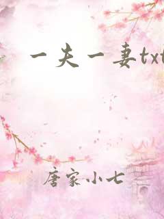 一夫一妻txt