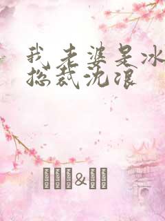 我老婆是冰山女总裁沈浪