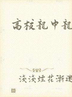 高校龙中龙下载