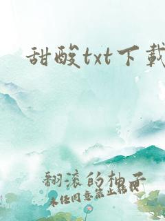 甜酸txt下载