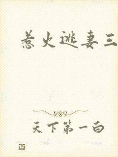 惹火逃妻三带一