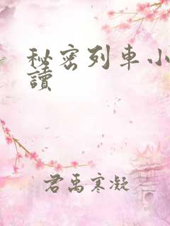 秘密列车小说阅读