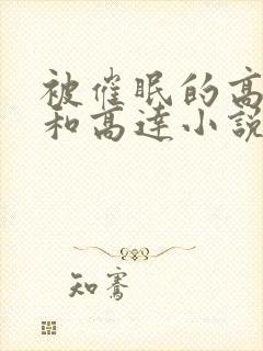 被催眠的高小柔和高达小说