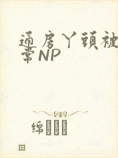通房丫头被肉日常NP