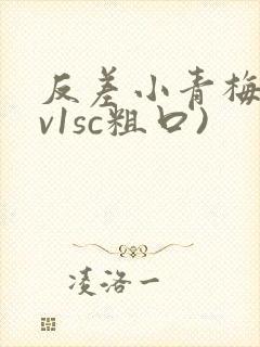 反差小青梅(1v1sc粗口)