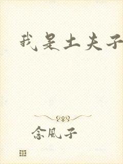 我是土夫子