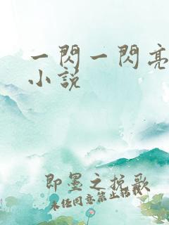 一闪一闪亮晶晶小说