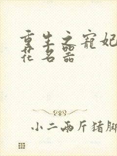 重生之宠妃白莲花名器