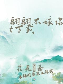 翩翩不嫁你txt下载