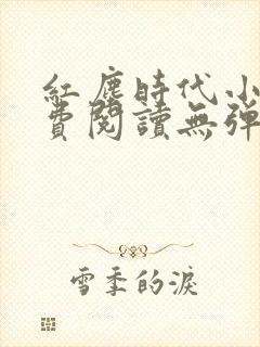 红尘时代小说免费阅读无弹窗