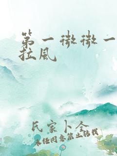 第一微微一笑很拉风