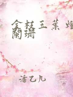 金枝玉叶 灯火阑珊