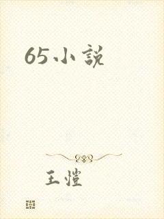 65小说