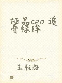 极品ceo 追爱绿眸