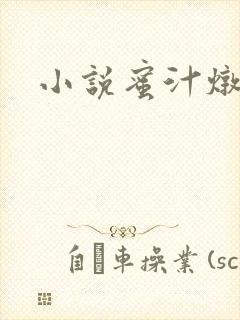 小说蜜汁炖鱿鱼