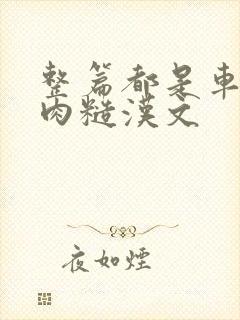 整篇都是车的多肉糙汉文