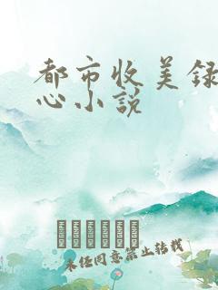 都市收美录宁素心小说