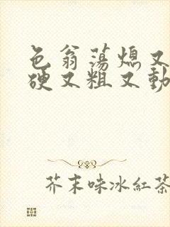 色翁荡熄又大又硬又粗又动态图