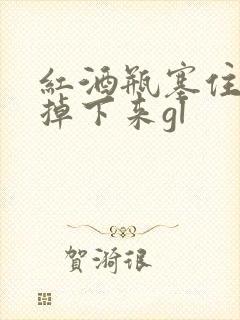 红酒瓶塞住不准掉下来gl