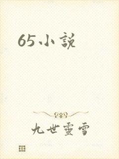 65小说