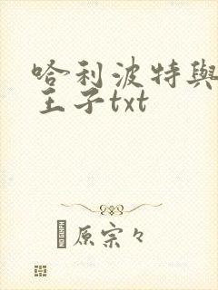 哈利波特与混血王子txt