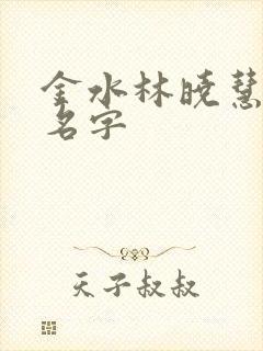 金水林晓慧小说名字
