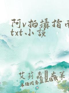 阿v拍摄指南说txt小说