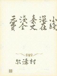 元浅秦深小说免费全文在线